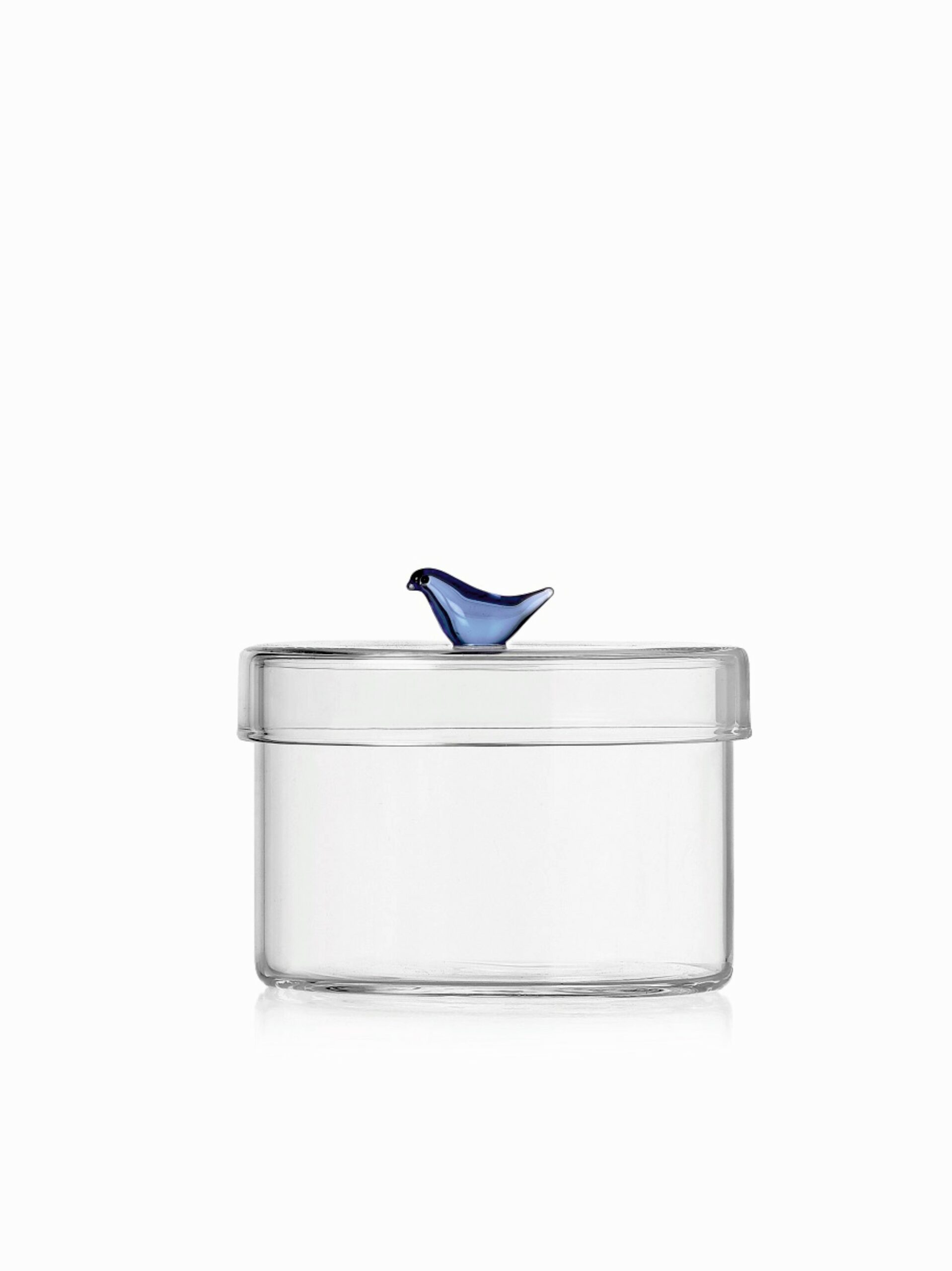 BIRDS pojemnik niski niebieski ptak