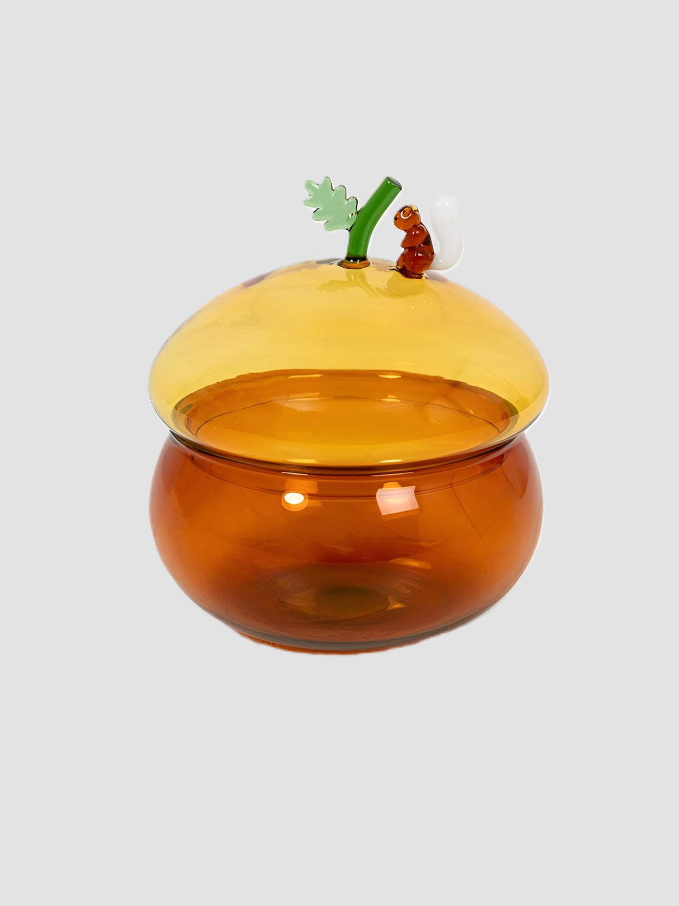 ACORN pudełko żołądź